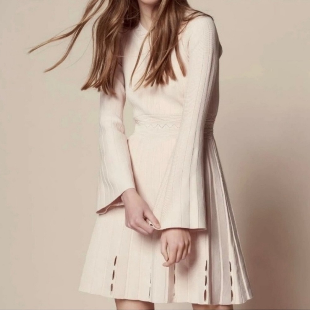 SANDRO Women's Terez Eyelet-detail Knit Mini Dress In Powder Size Small - Picture 16 of 16